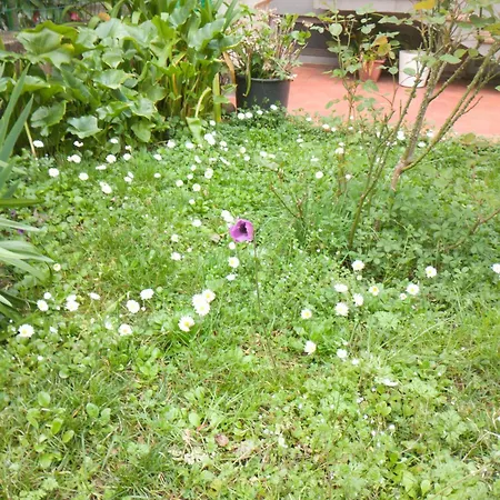 Casa Spadi Apartamento Florencia